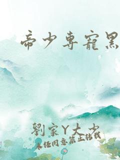 帝少专宠黑道妻