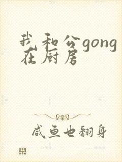 我和公gong在厨房