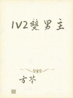 1V2双男主