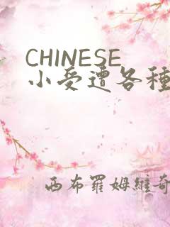 CHINESE小受遭各种打桩