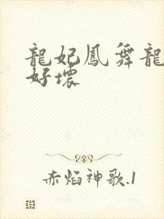 龙妃凤舞龙王你好坏