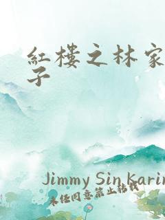 红楼之林家庶长子