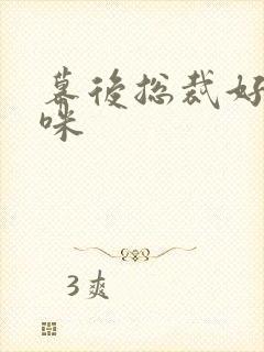 幕后总裁好孕妈咪