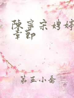 陈宁宋娉婷最新章节