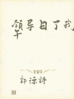 领导日了我一下午