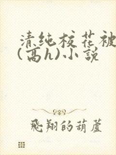 清纯校花被调教(高h)小说