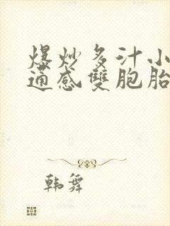 爆炒多汁小美人通感双胞胎