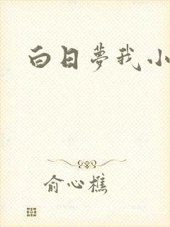 白日梦我小说