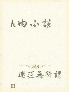 h肉小说