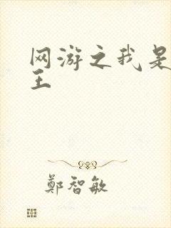 网游之我是海贼王