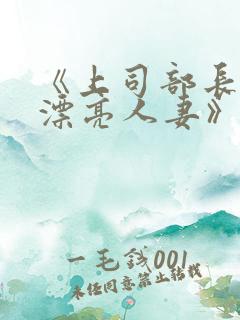 《上司部长出轨漂亮人妻》