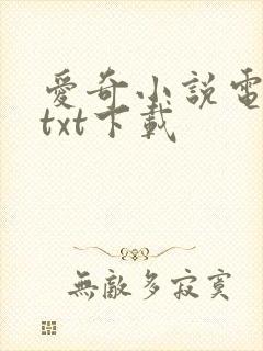 爱奇小说电子书txt下载