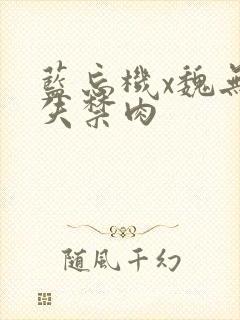 蓝忘机x魏无羡失禁肉