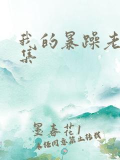 我的暴躁老妈全集