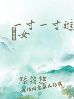 一寸一寸进入小姪女