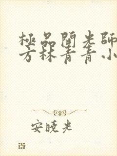 极品开光师李南方林青青小说叫