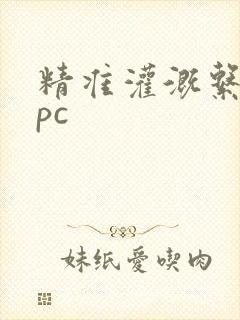 精准灌溉系统npc