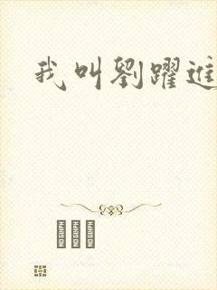 我叫刘跃进下载