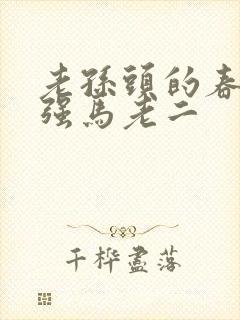 老孙头的春天马强马老二