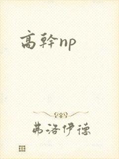 高干np