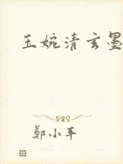 玉婉清玄墨小说
