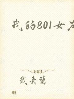 我的801女友