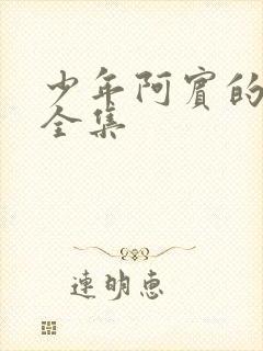 少年阿宾的故事全集