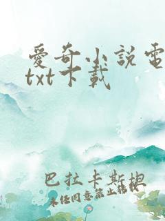 爱奇小说电子书txt下载