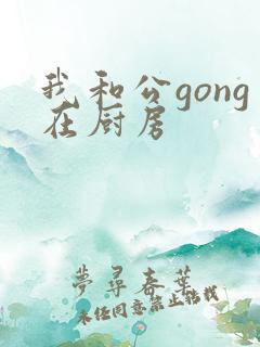 我和公gong在厨房