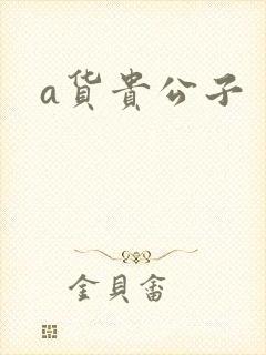 a货贵公子