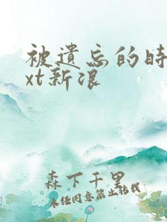 被遗忘的时光txt新浪