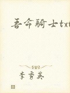 吾命骑士txt