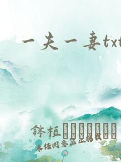 一夫一妻txt