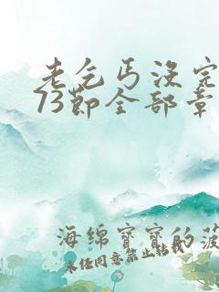 老乞丐没完没了73节全部章节内容