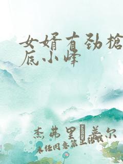 女婿有劲枪枪到底小峰