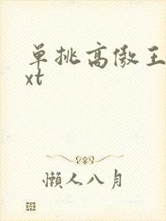 单挑高傲王子txt