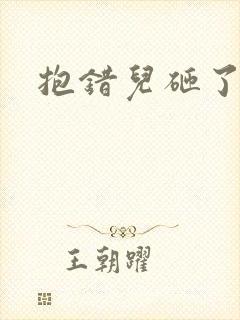 抱错儿砸了