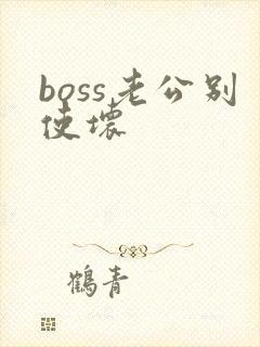 boss老公别使坏
