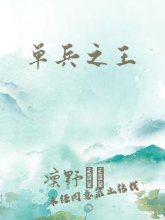 单兵之王
