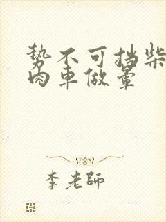 势不可挡柴鸡蛋肉车做晕