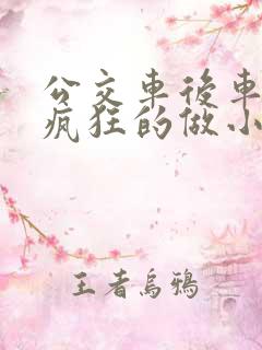 公交车后车座的疯狂的做小