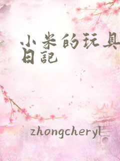 小米的玩具羞辱日记