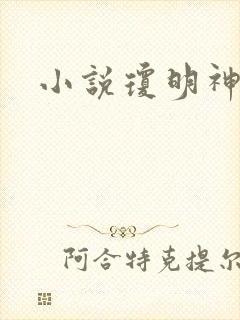 小说琼明神女录