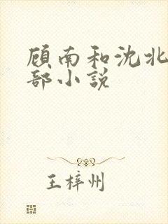 顾南和沈北是哪部小说