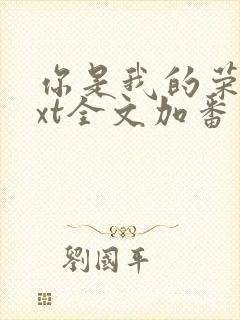 你是我的荣耀txt全文加番外