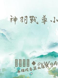 神羽战尊小说