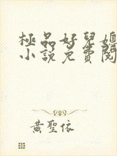 极品好儿媳苏灿小说免费阅读