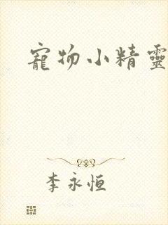 宠物小精灵之梦