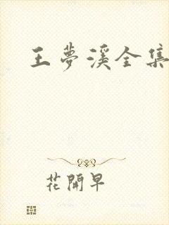 王梦溪全集