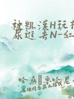 被粗汉H玩松了尿进去N-红-Q